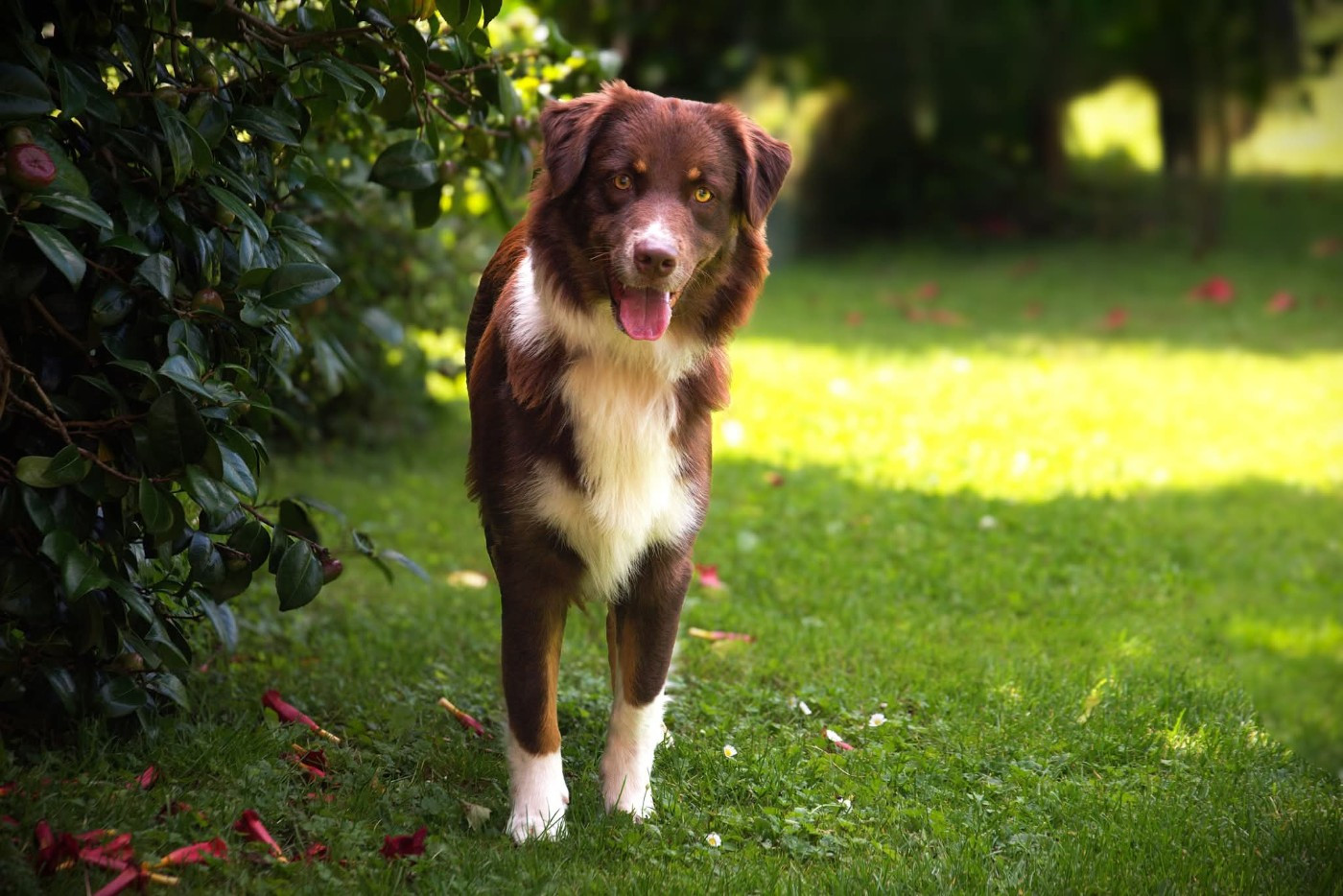 What A Beautiful Girl Sofia des Rêves d'Eole