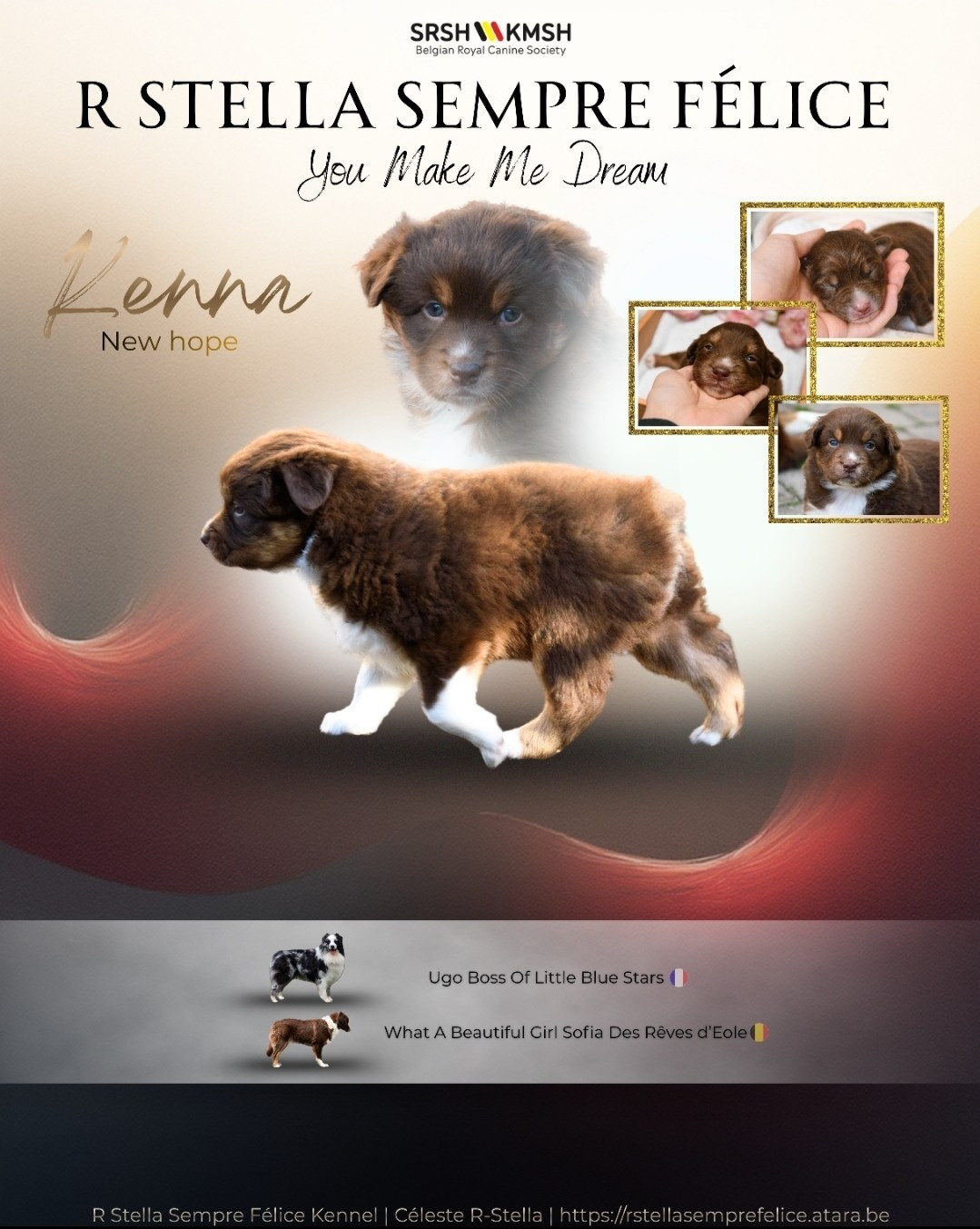 R Stella Sempre Félice You Make Me Dream